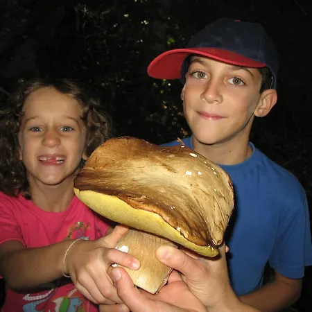 Bed and Breakfast La Ginestra