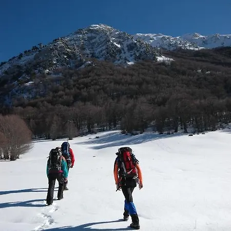 La Ginestra